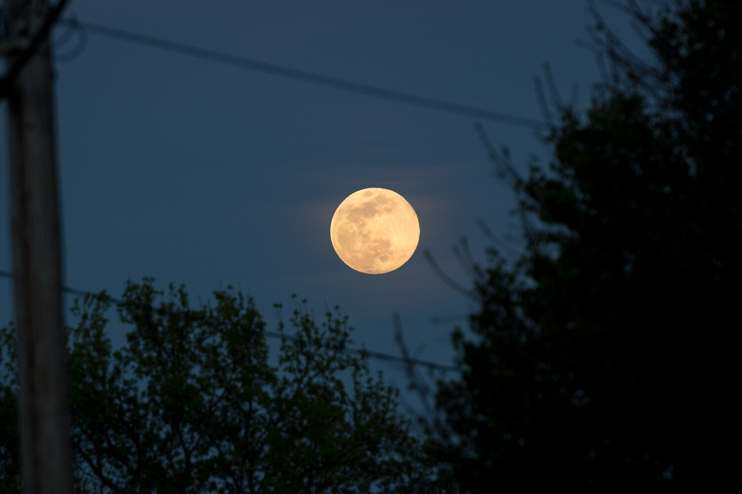 Full Moon with Power Lines in Foreground