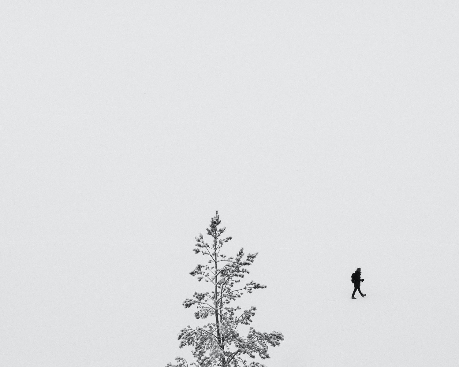 Negative space photography