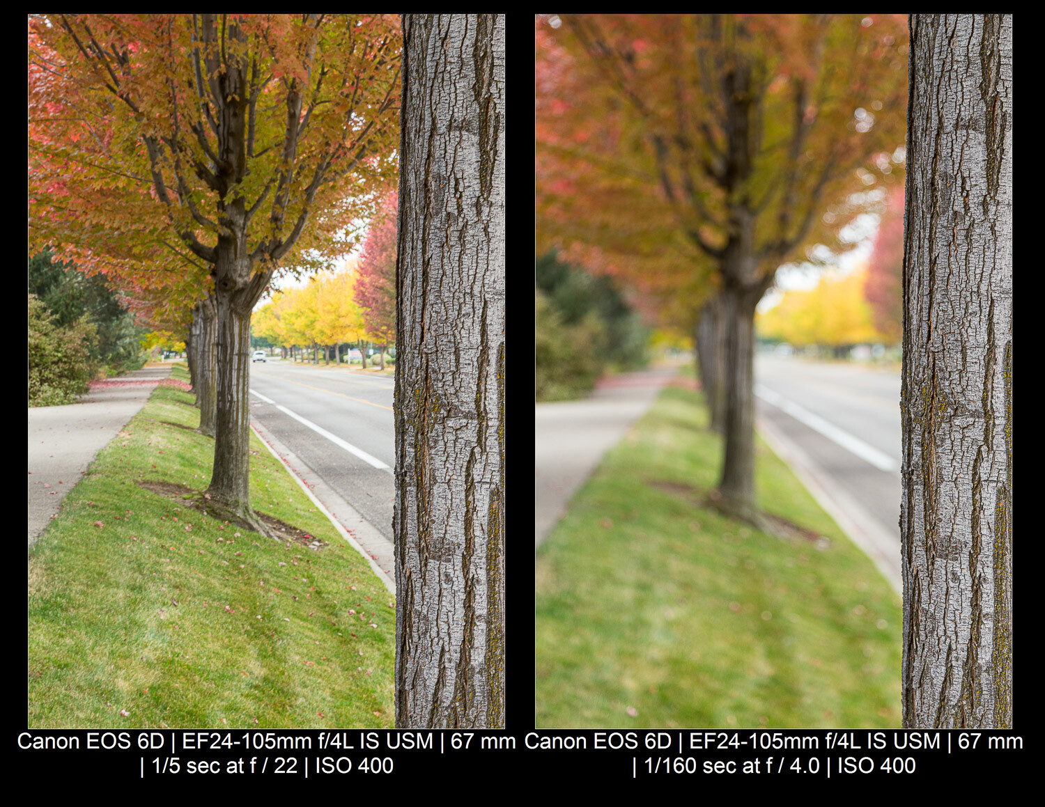 aperture/depth of field comparison