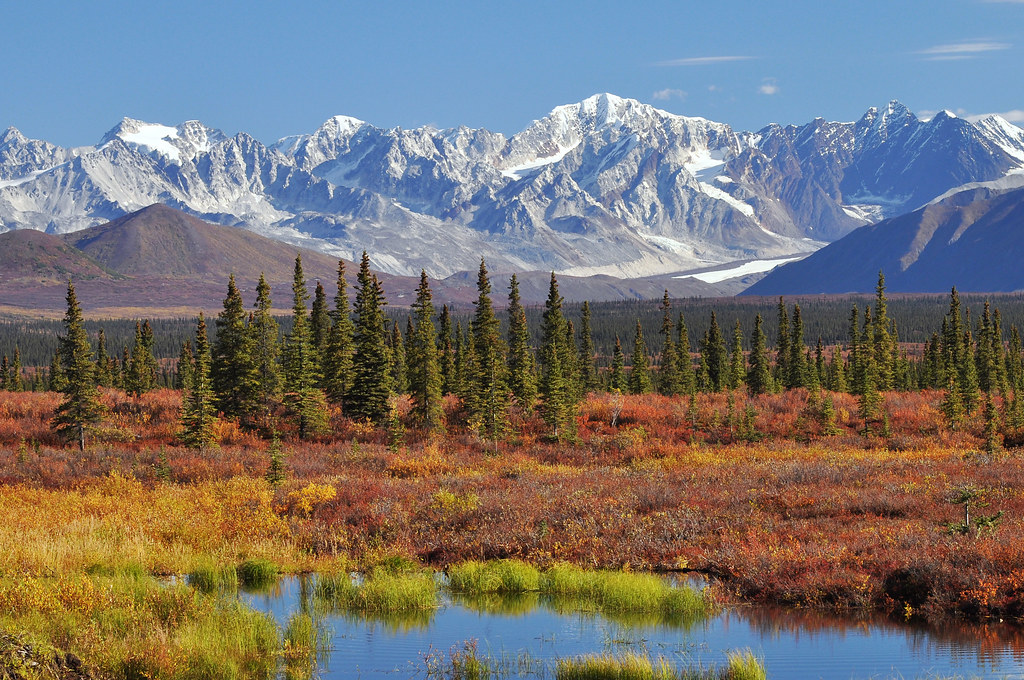 Alaska Range landscape off of the Denali Highway