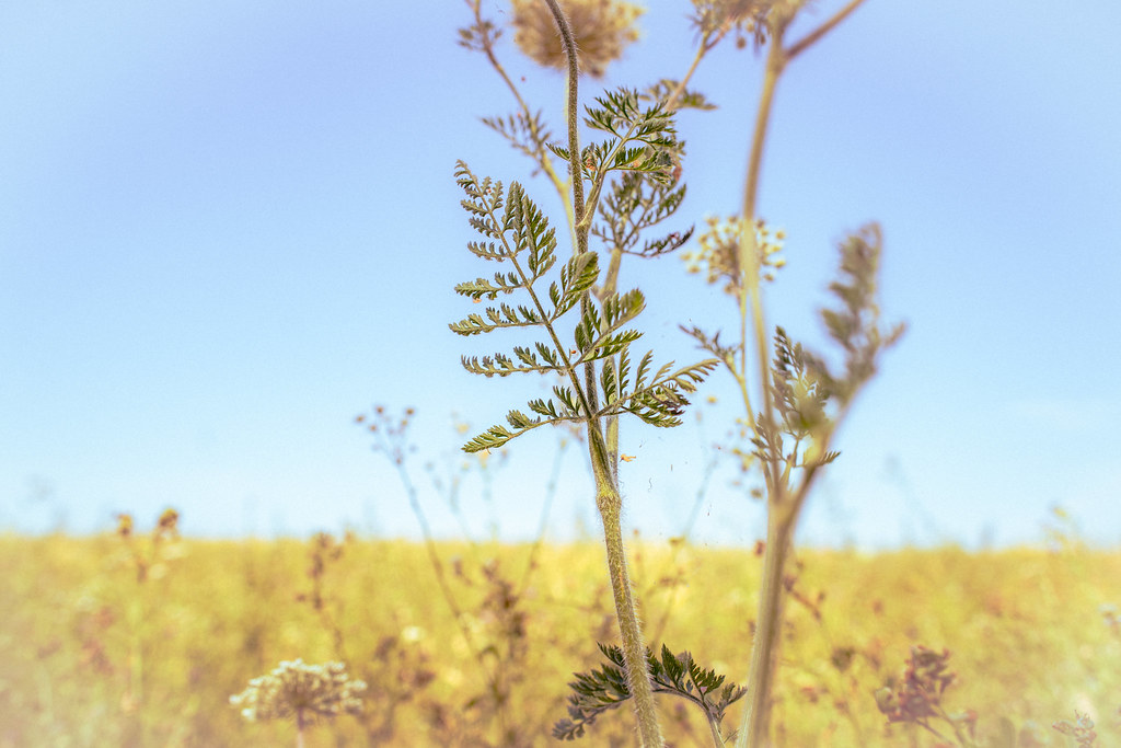 Reflections on Impermanence: A Meditation Through Time