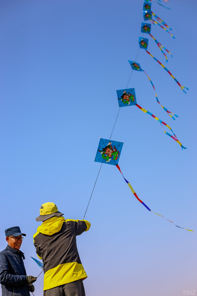 Smiling Kite