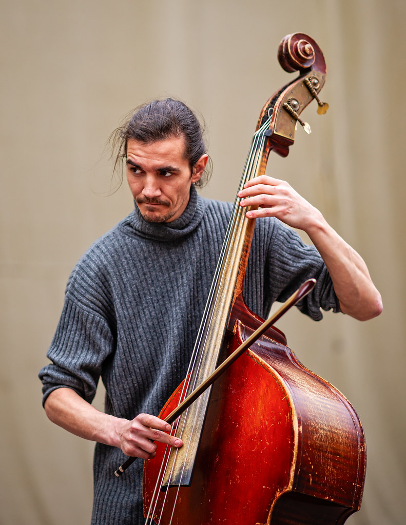 Сontrabass Player