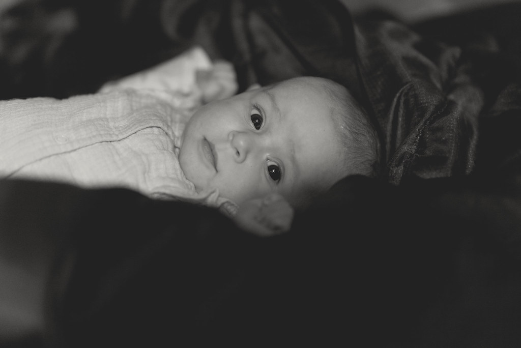 Model Amaya