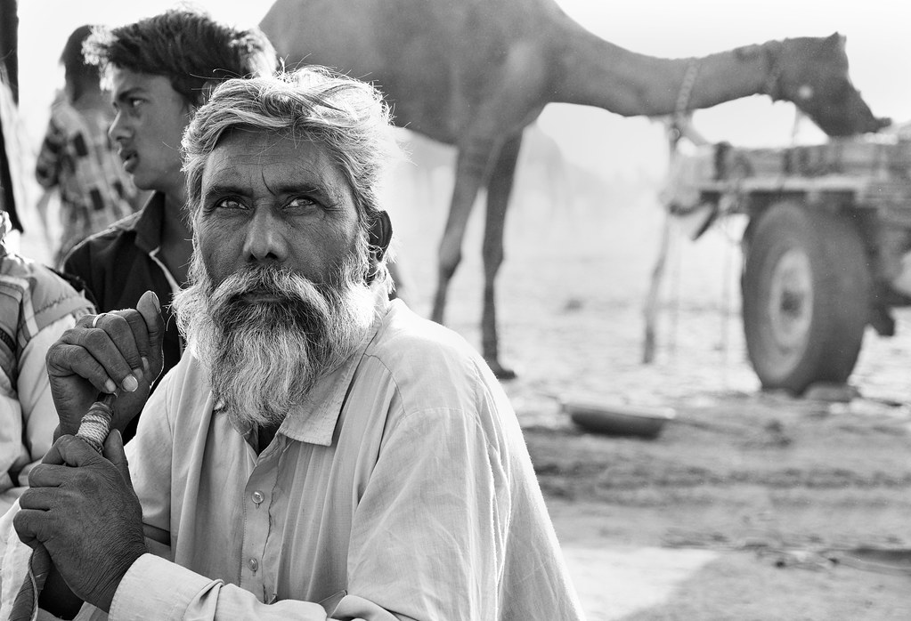 Camel Trader