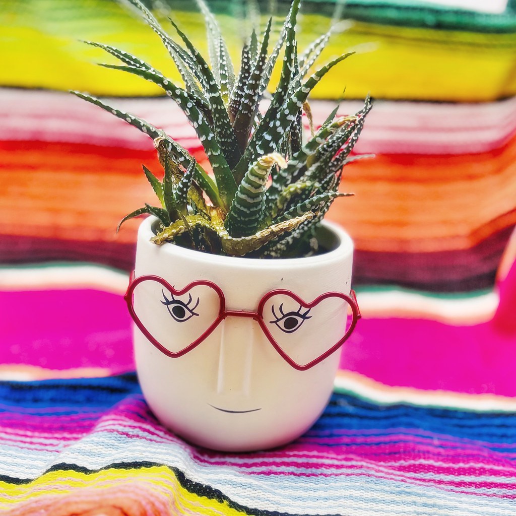 May7 Cactus/Character