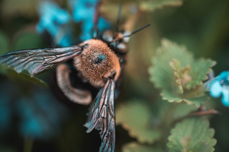 Weekly Snapshot with Flickr Social, 5/9/2025
