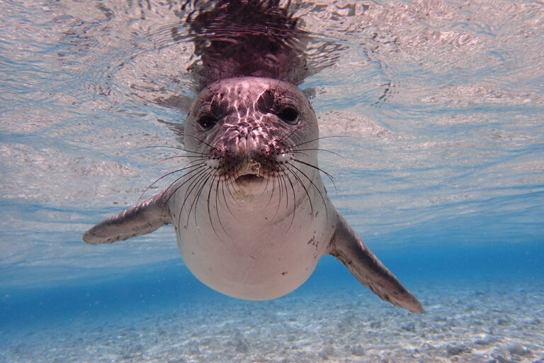 Making Waves: Ocean Photography in honor of World Ocean Day