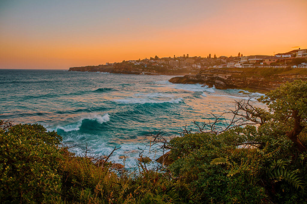 Sydney Wild