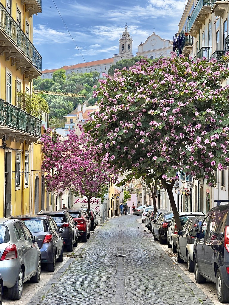 Morning walk in Lisbon