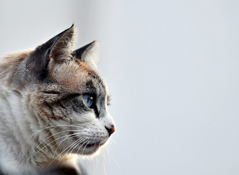 Weekly Snapshot with Flickr Social, 6/27/2025
