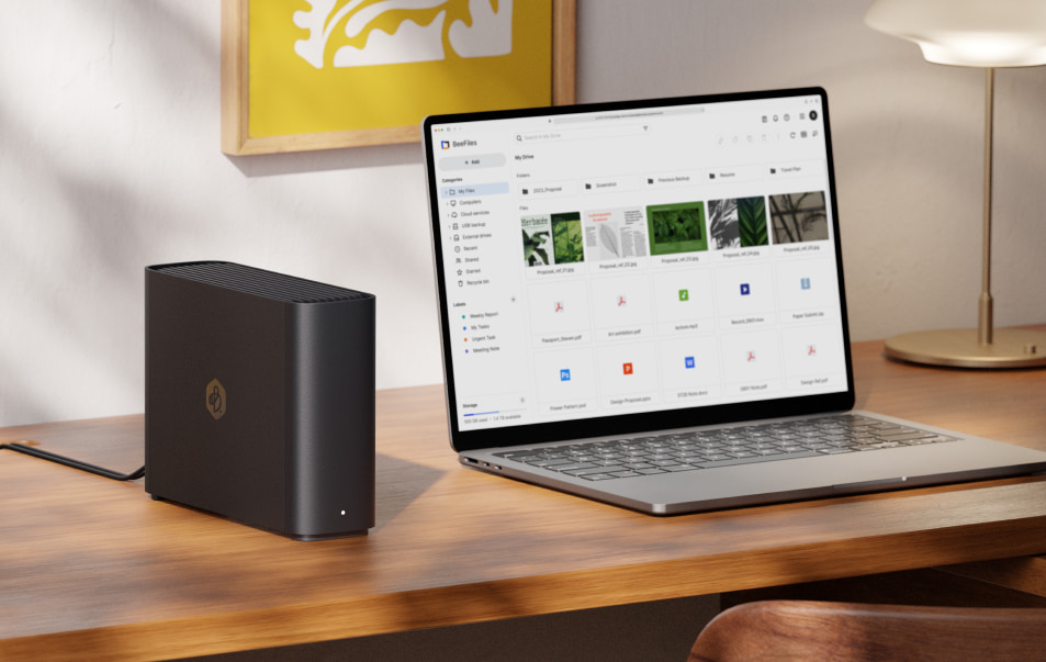 What Photographers Can Do with the Synology 8TB BeeStation
