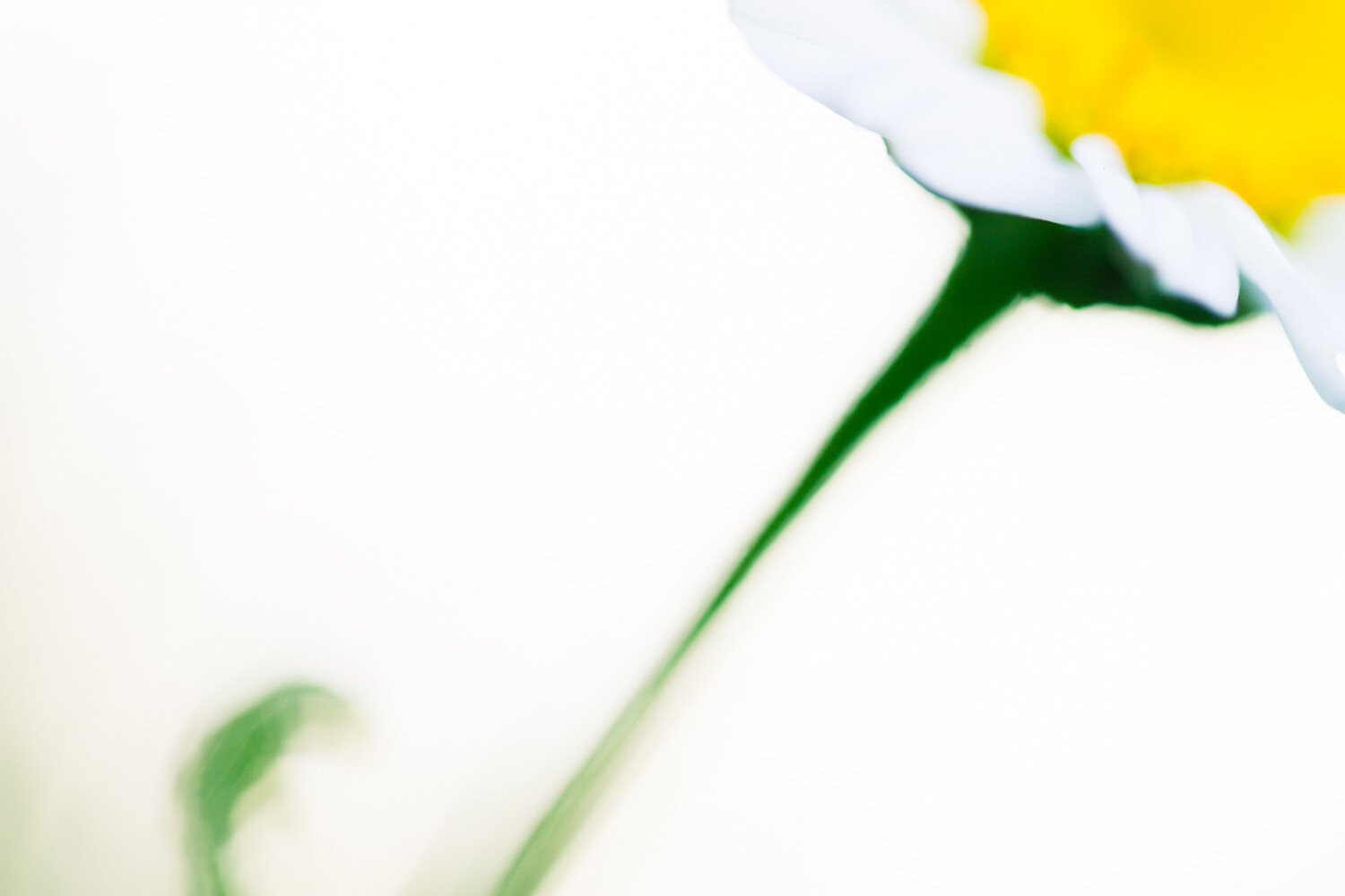 Image: 100mm, 1/125 sec, f/2.8, ISO 320