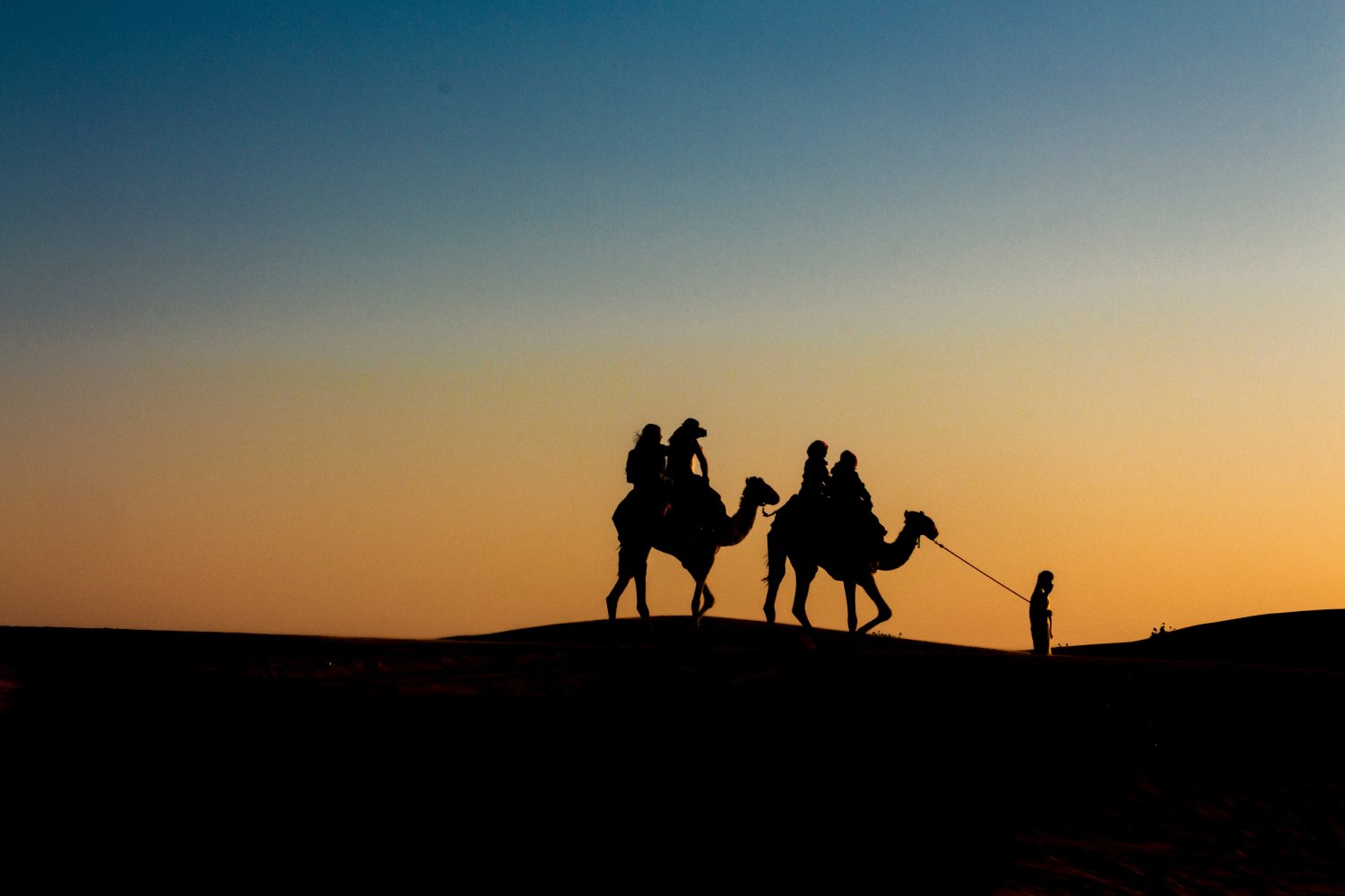 Silhouette photography