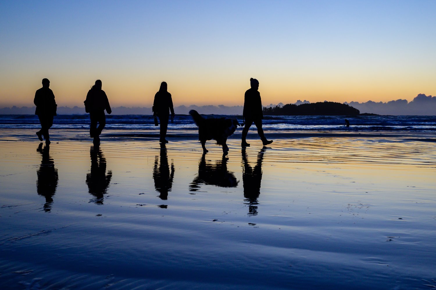Silhouette photography