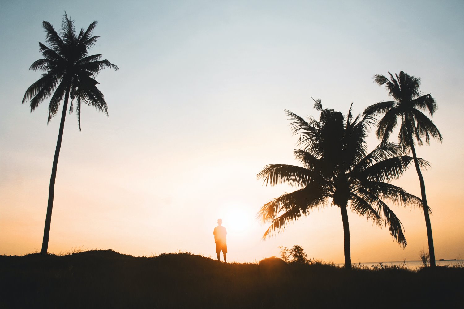 Silhouette photography