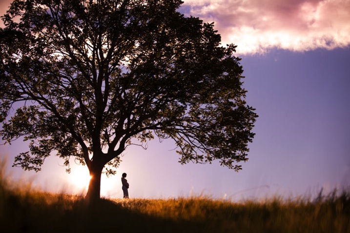DPS Silhouette-2.jpg perfect portrait silhouette photography woman by a tree