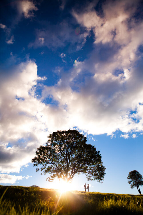 DPS Silhouette-8.jpg portrait silhouette photography people by a tree