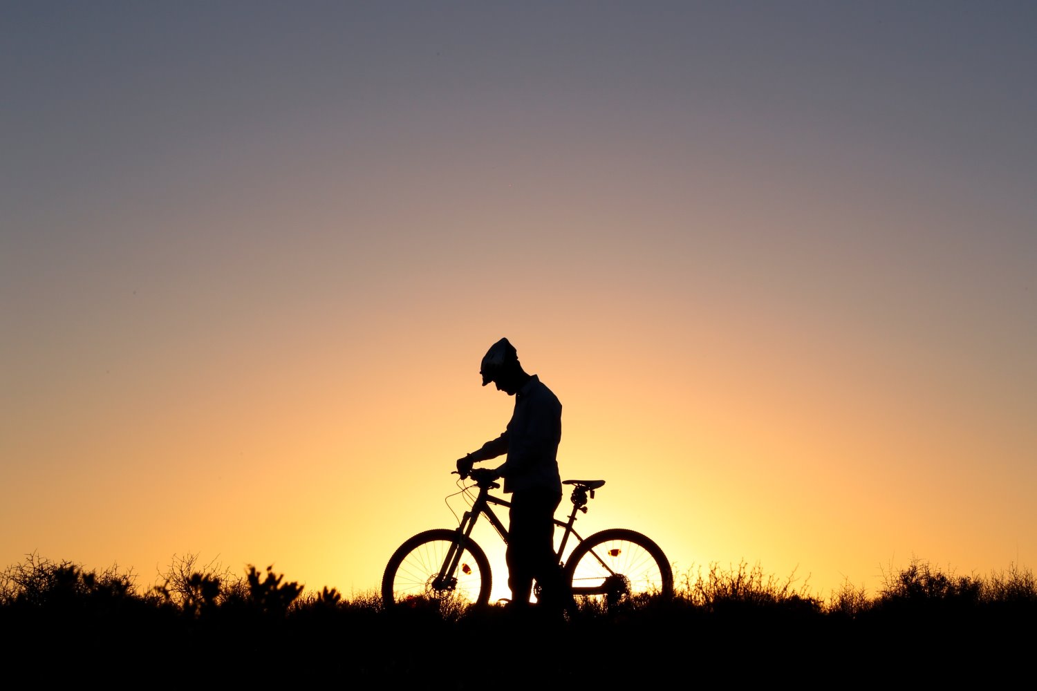 silhouette of a biker