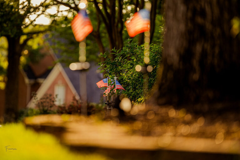 Weekly Snapshot with Flickr Social, 7/4/2025