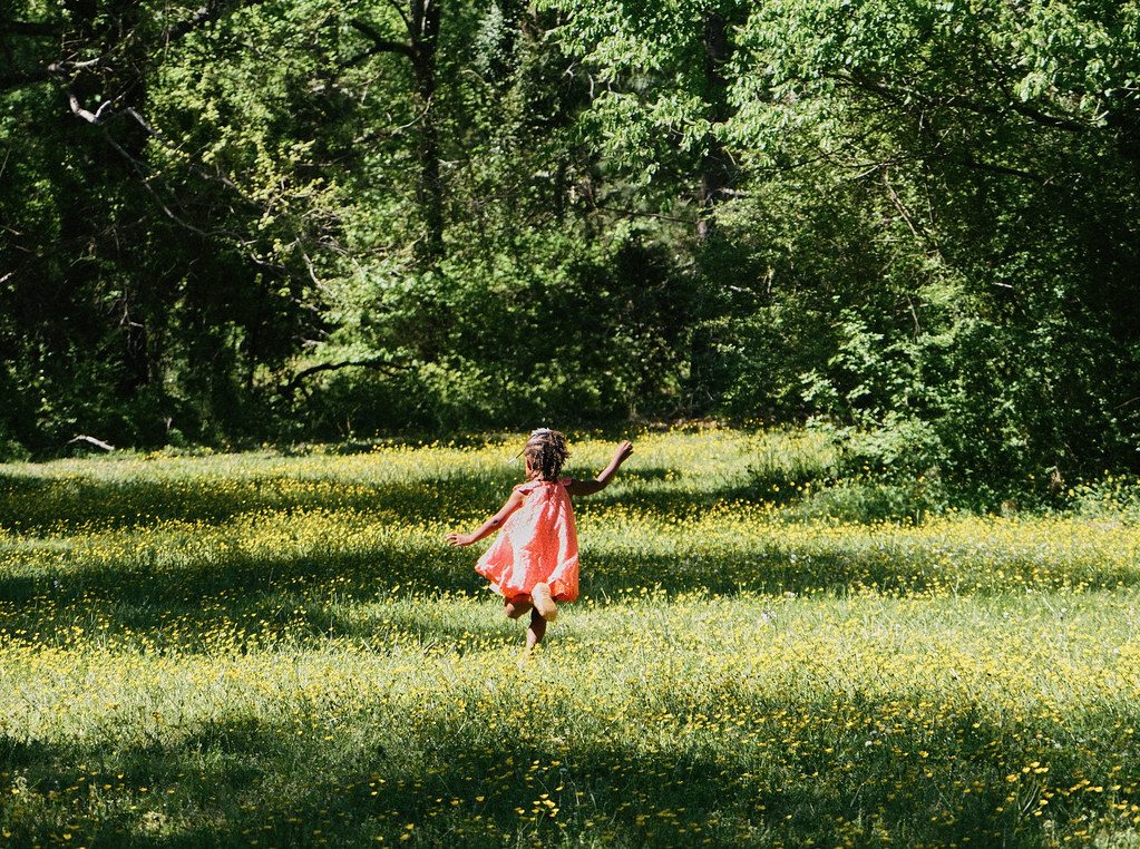 Wander