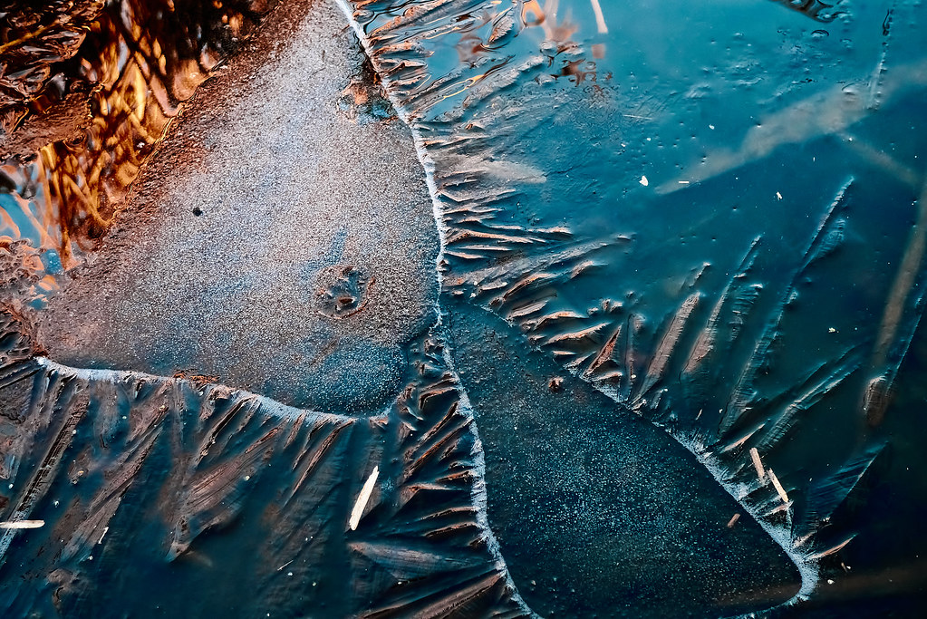 Mini Landscape