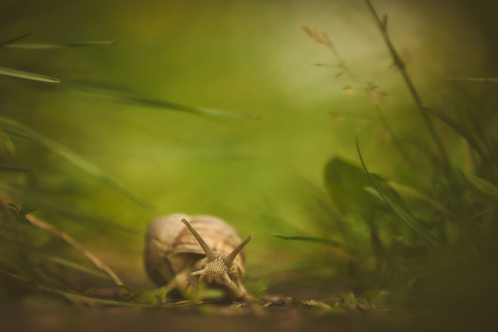 On the run...