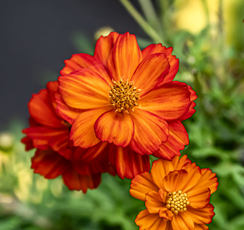 Sunny Colours.