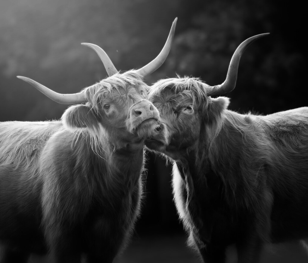Connection