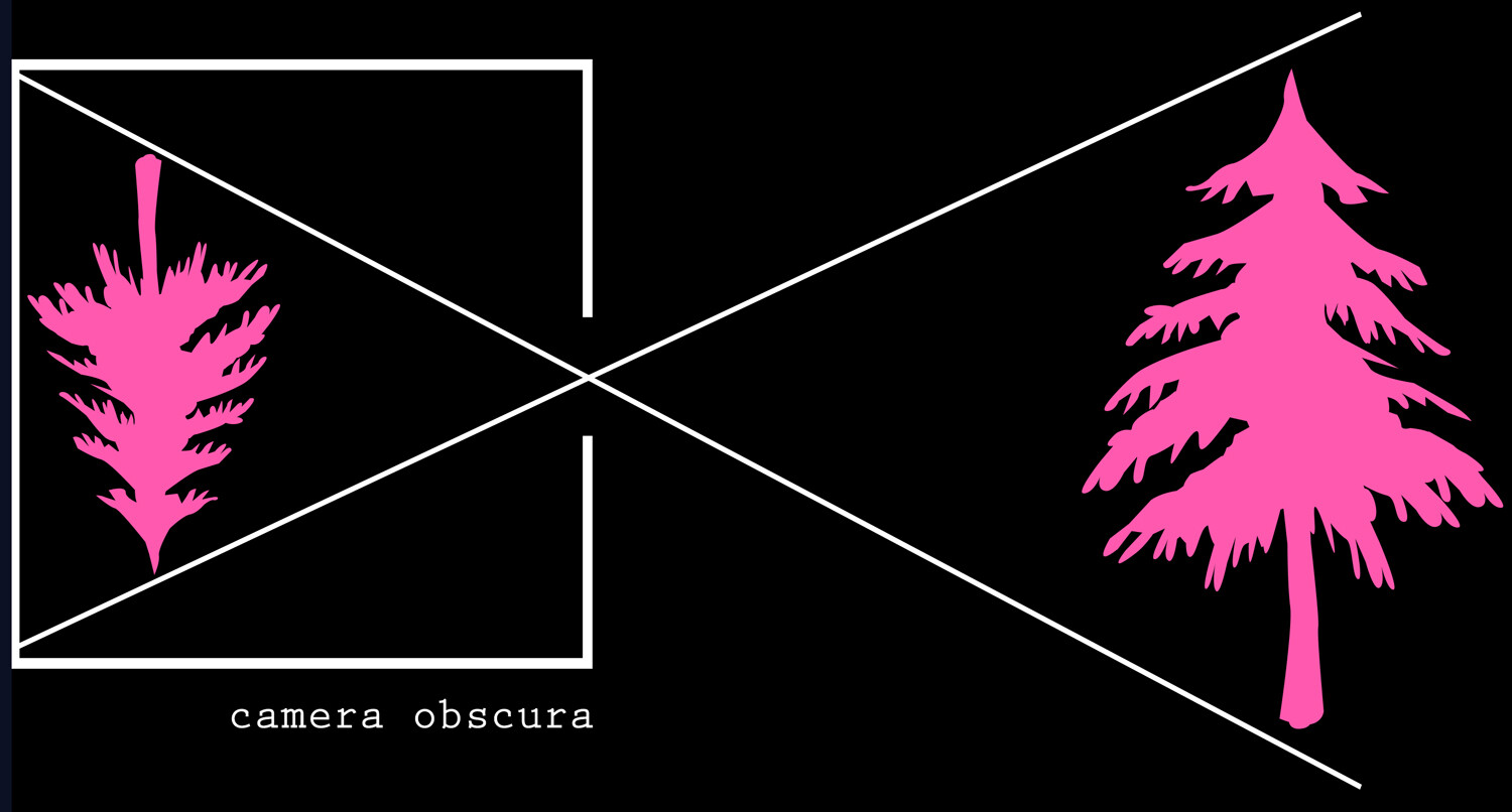 photography facts camera obscura
