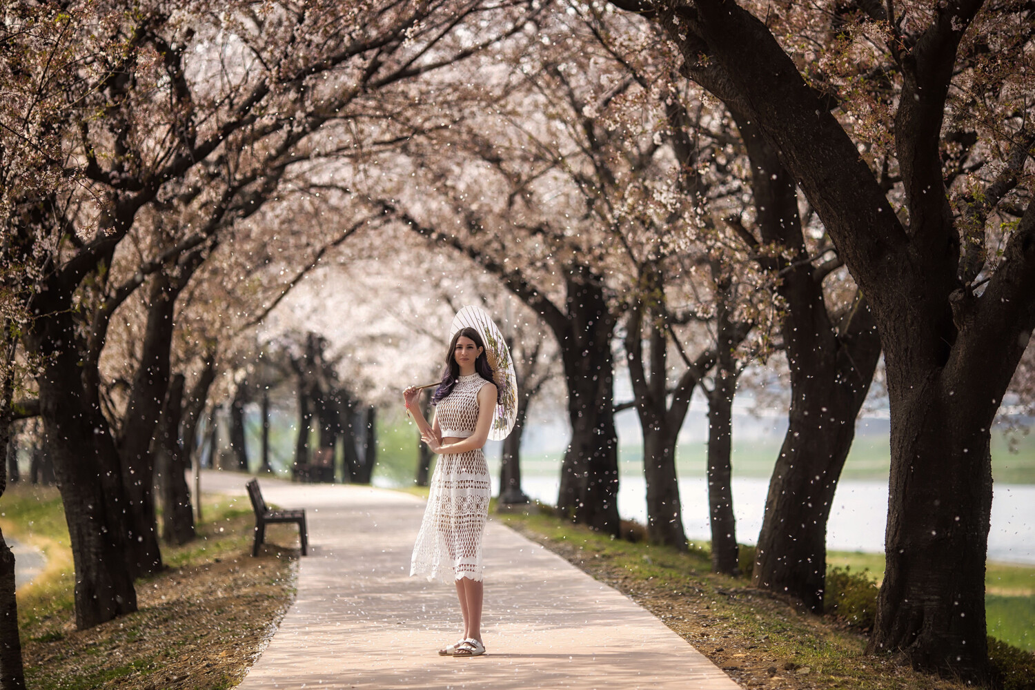 woman standing in a tunnel of trees with an umbrella