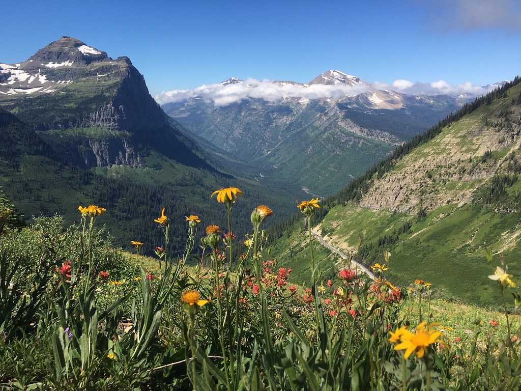 Highline Trail - Glacier National Park