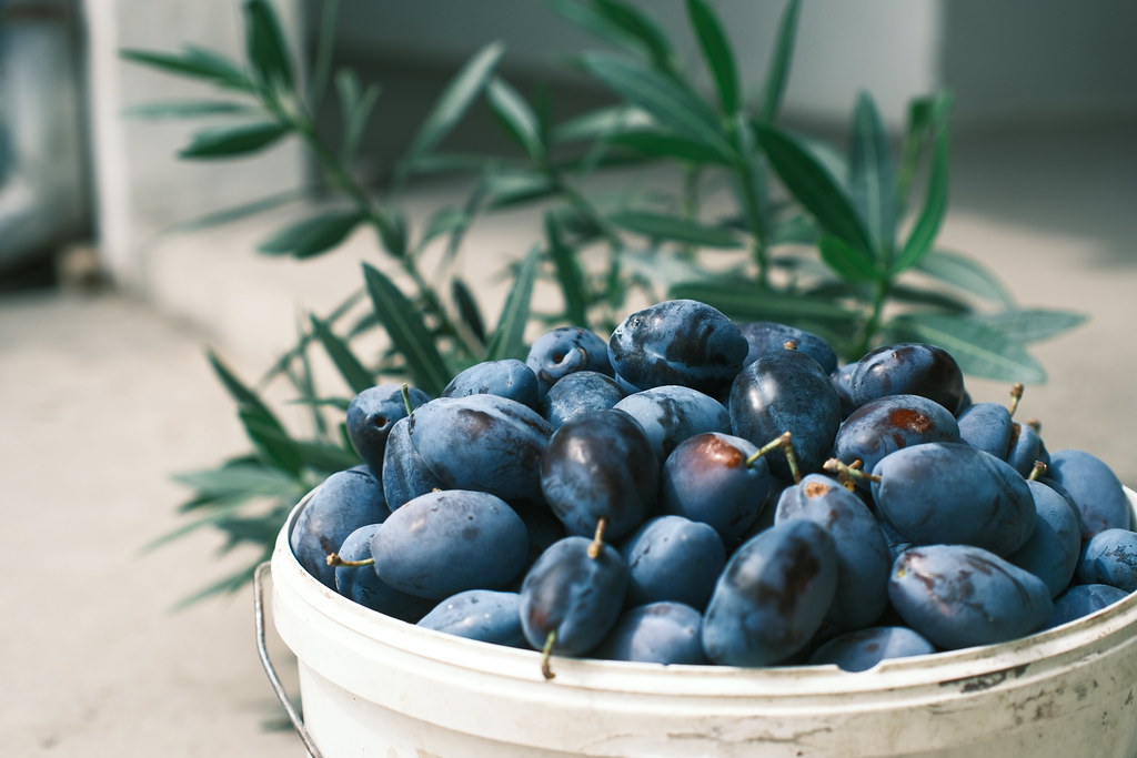 plums at Grenma