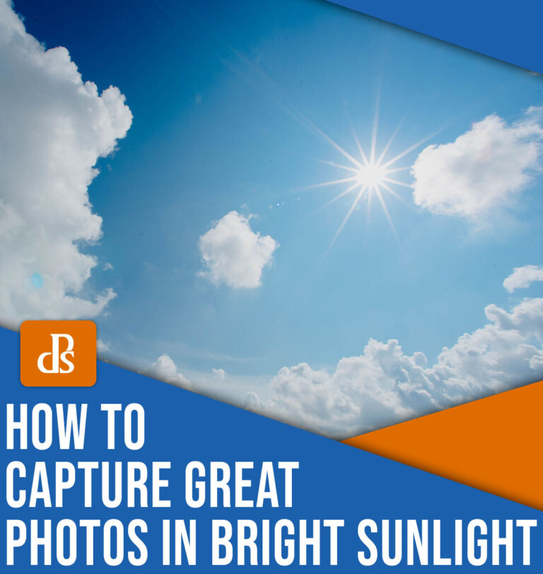 Photography in Bright Sunlight: 14 Easy Tips for Beautiful Results