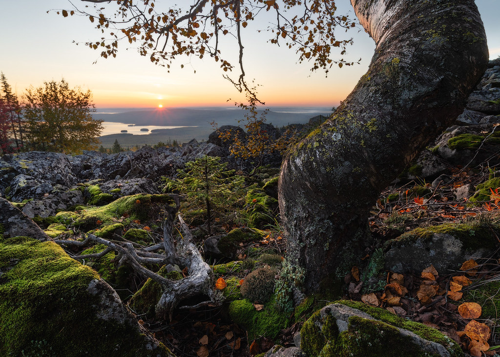 Autumn Morning