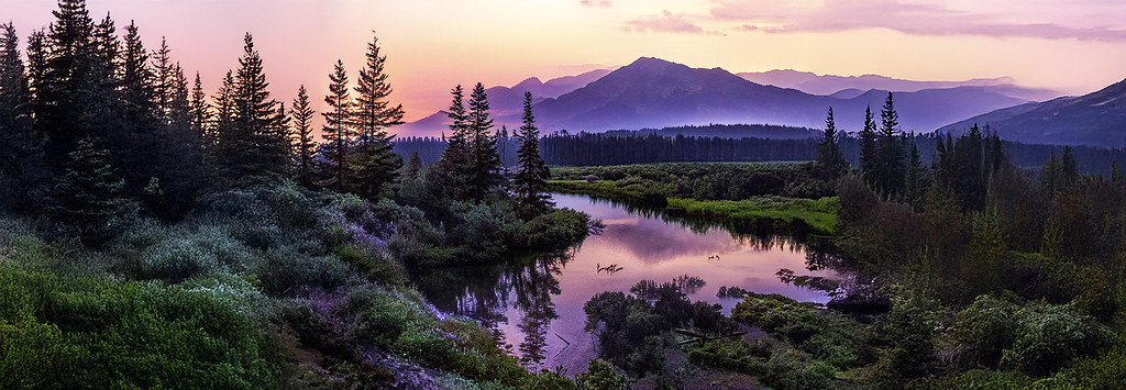 Awakening in Purple Hues