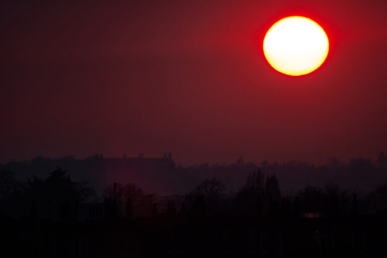 The Unseen Frame: Why Photography is More Than Just a Click