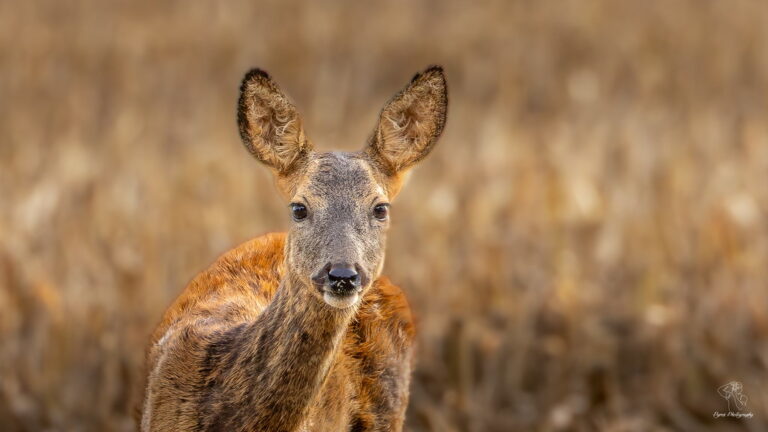 Weekly Snapshot with Flickr Social, 10/3/2025