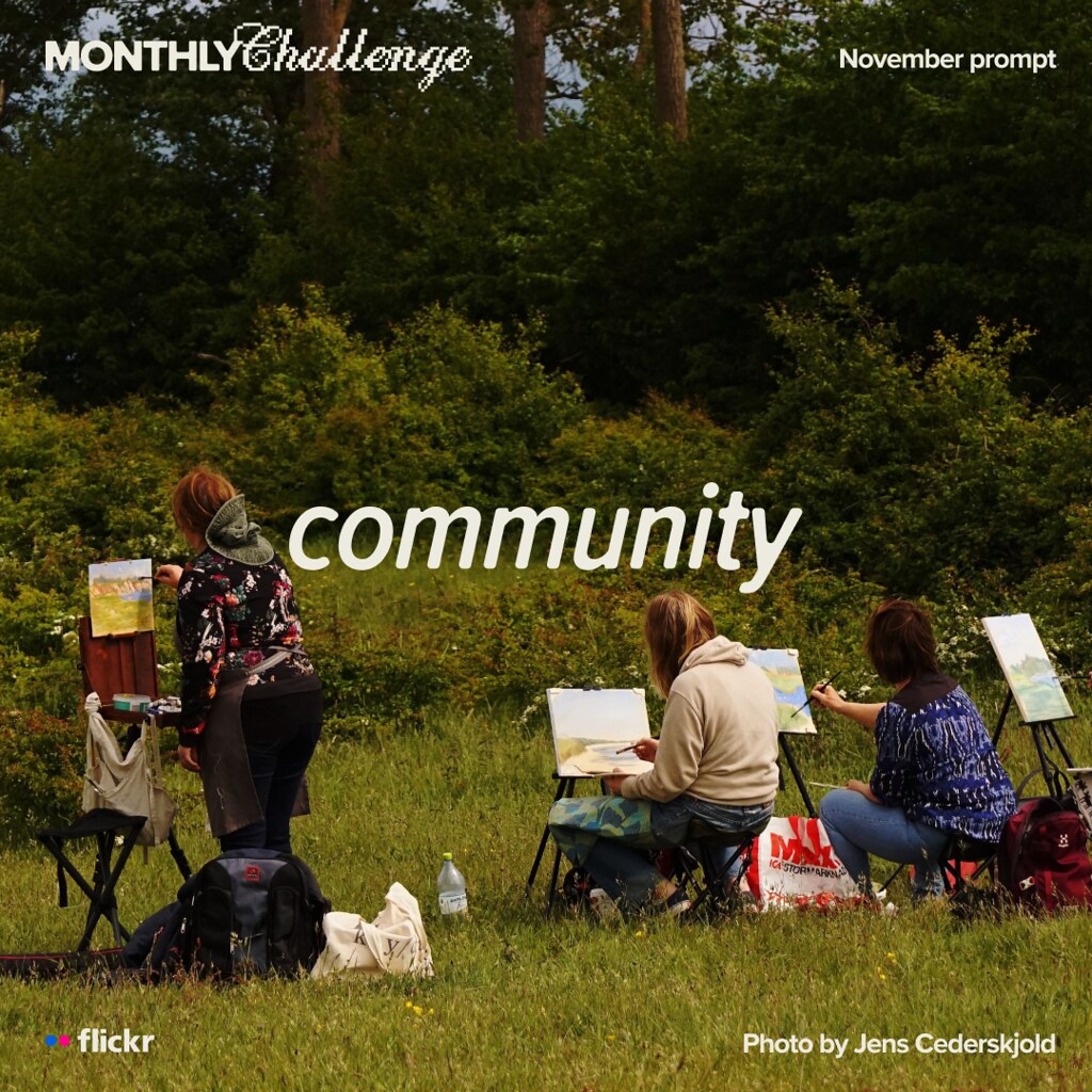 November’s Photo Challenge Theme: Community