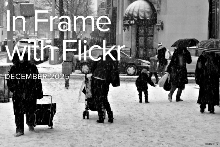 In Frame with Flickr: Street Photography Review December 2025