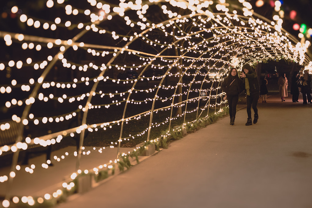 Selfie amongst the Christmas Lights
