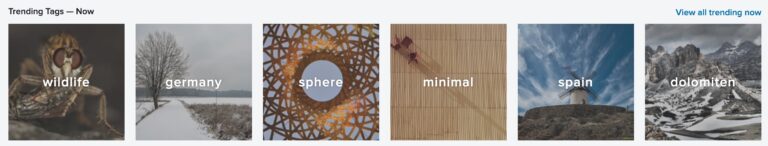 Grab Your Camera: It’s World Wildlife Day!