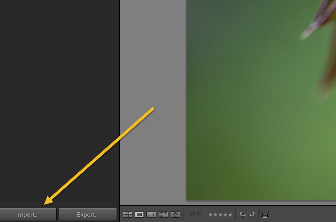 tapping the Import button
