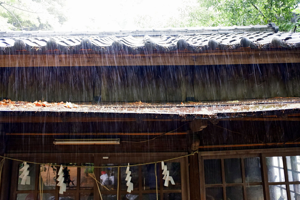 Rain, Tenso Shrine