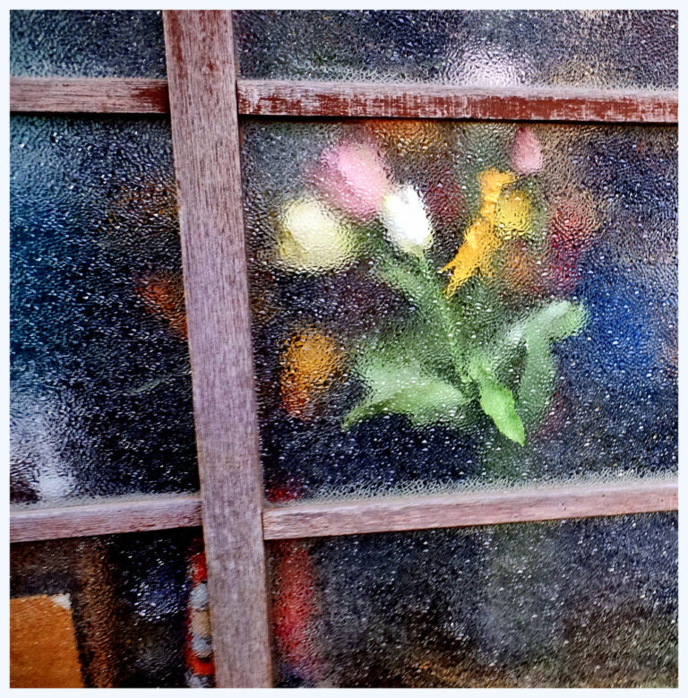 Introducing TokyoMorningDetails and his Flickr archive