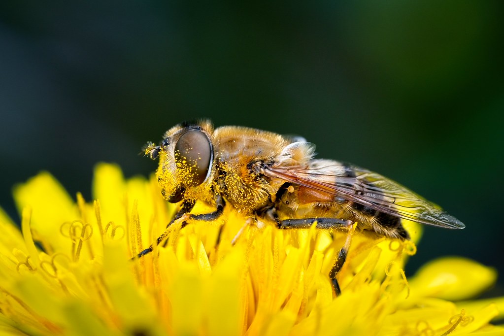 A short rescue story - 1