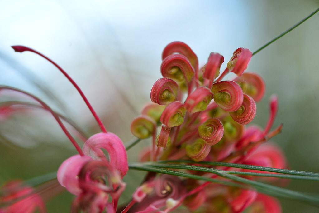 Spider-Man changed his surname