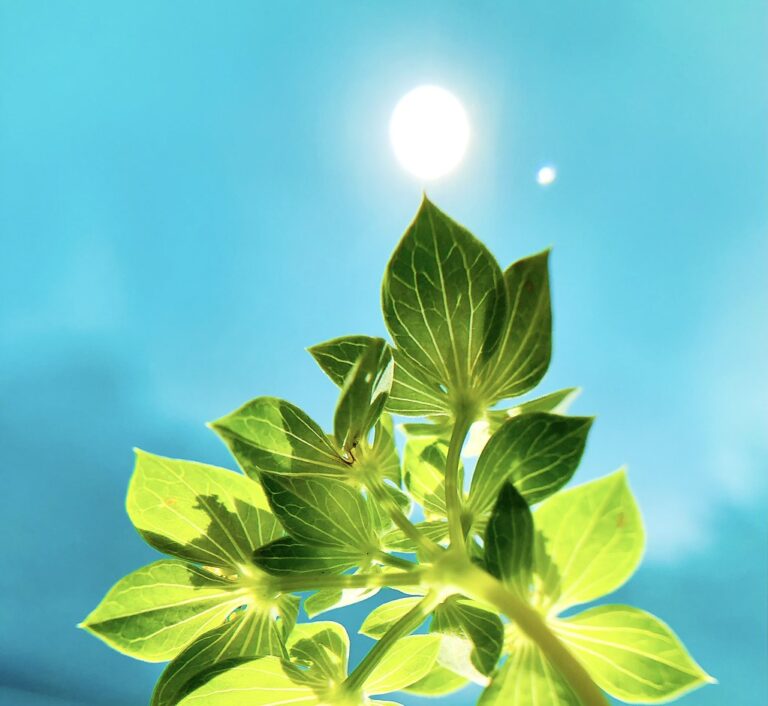 Earth Day. Every Day