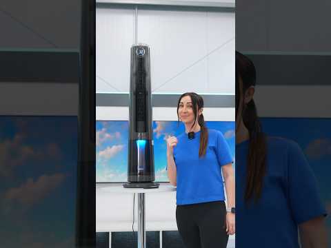 Only Fan You NEED!!!