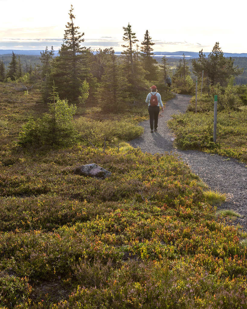 Riisitunturi, Lapland